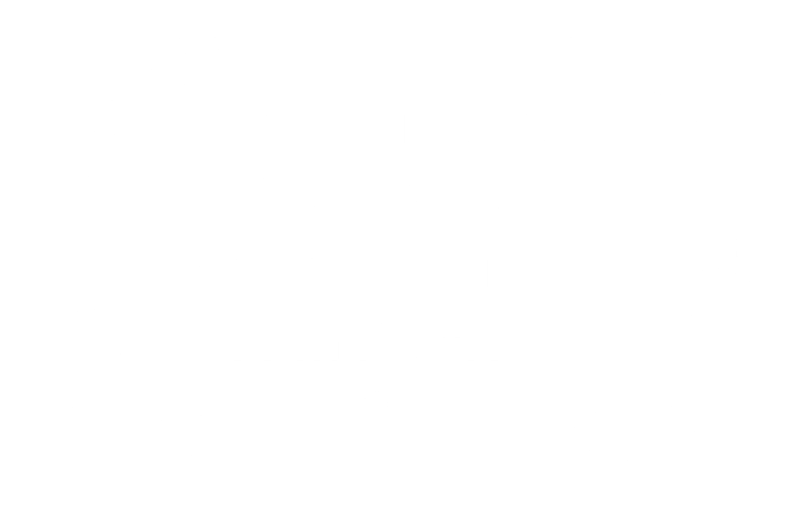 OFFICIAL SELECTION - Marthas Vineyard African American Film Festival - 2025