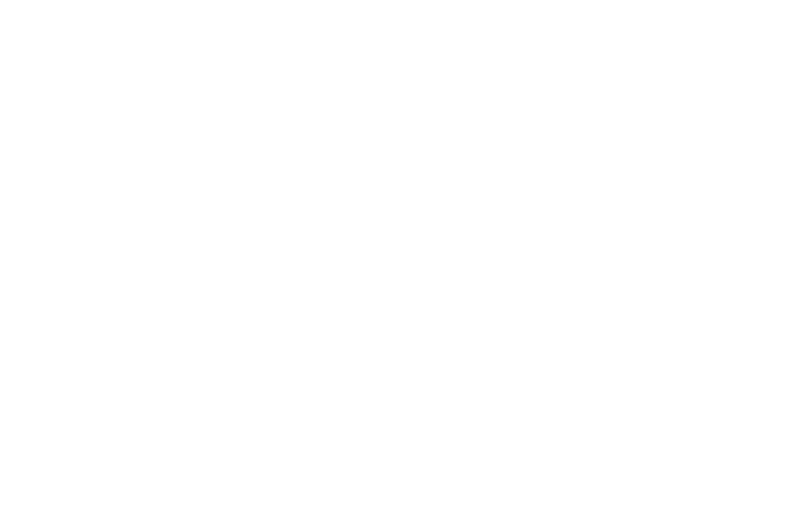 AWARD WINNER - North Beach American Film Festival - 2024